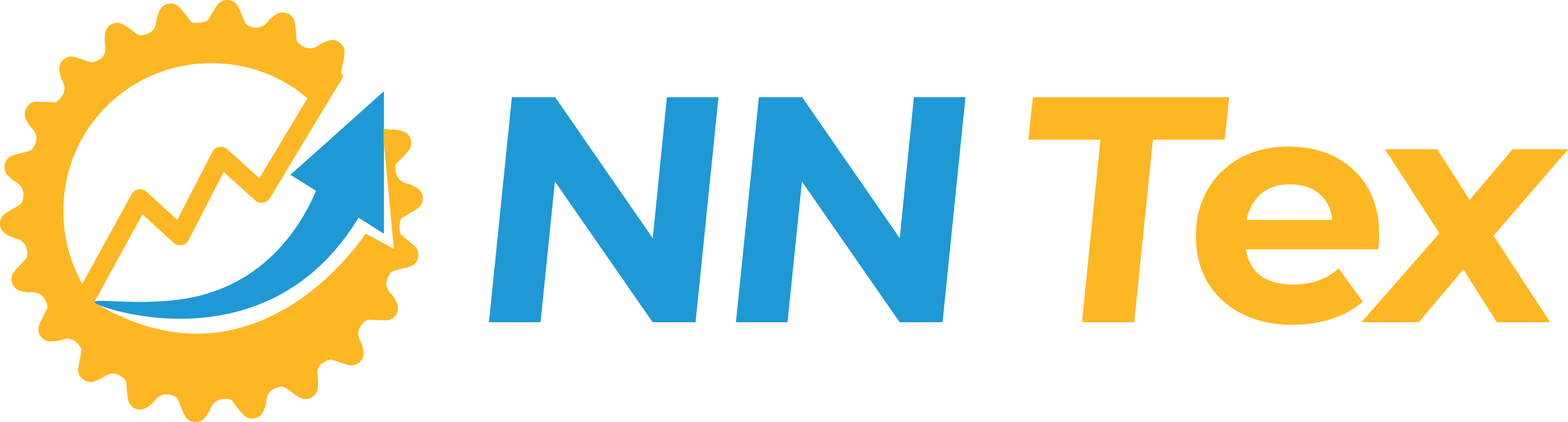 NN Tex Logo